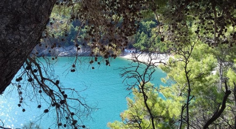 spiaggia pugnochiuso